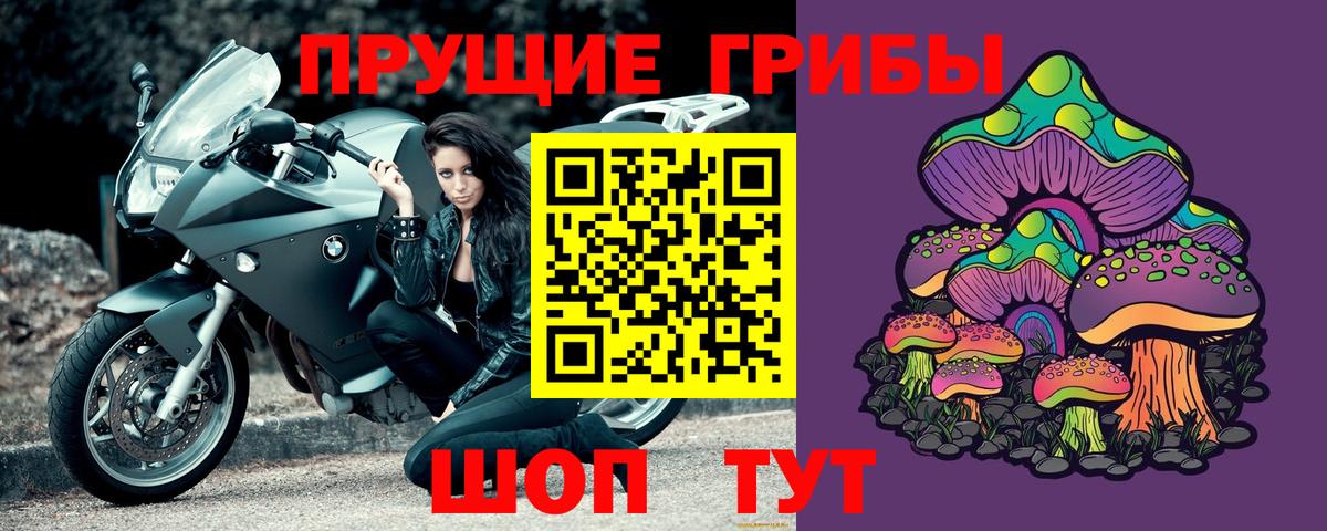 Галлюциногенные грибы MAGIC MUSHROOMS  Вход с VPN  Аргун 
